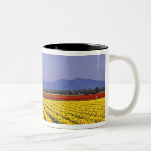 WA, Skagit Valley, Skagit Valley Tulp 2 Tweekleurige Koffiemok