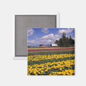 WA, Skagit Valley, Skagit Valley Tulp Magneet (Voorkant / Achterkant)