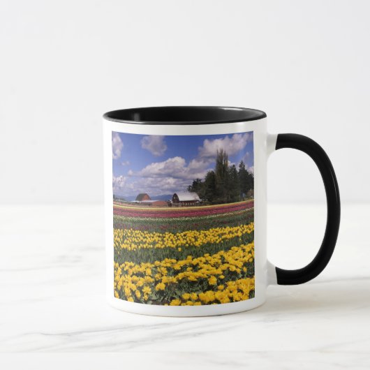 WA, Skagit Valley, Skagit Valley Tulp Mok (Rechts)