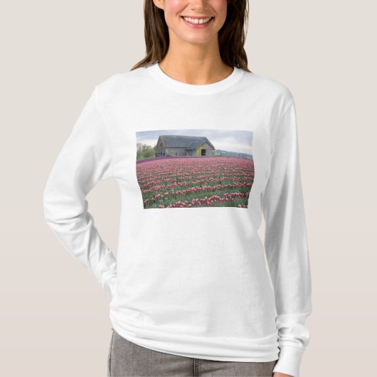 WA, Skagit Valley, Tulip Field en Barn T-shirt (Voorkant)
