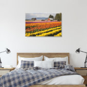 WA, Skagit Valley, Tulip fields in bloom Canvas Afdruk (Insitu (Slaapkamer))