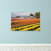 WA, Skagit Valley, Tulip fields in bloom Canvas Afdruk (Insitu (Houten vloer))