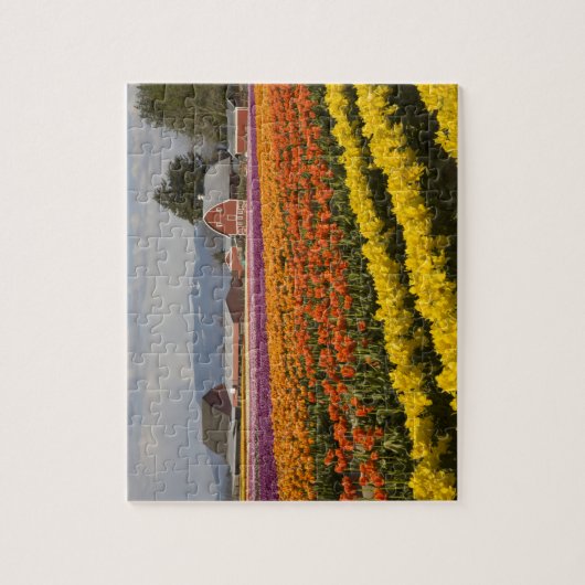 WA, Skagit Valley, Tulip fields in bloom Legpuzzel (Verticaal)
