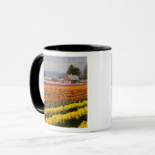 WA, Skagit Valley, Tulip fields in bloom Mok (Voorkant links)