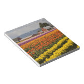 WA, Skagit Valley, Tulip fields in bloom Notitieblok (Schuin)