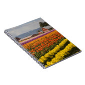 WA, Skagit Valley, Tulip fields in bloom Notitieboek (Rechterzijde)