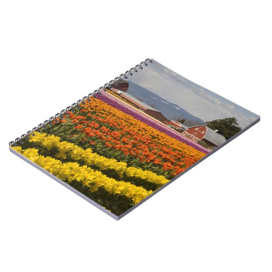 WA, Skagit Valley, Tulip fields in bloom Notitieboek (Linkerzijde)