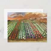 WA Skagit Valley Tulip Fields Spring Dreaming Briefkaart (Voorkant / Achterkant)