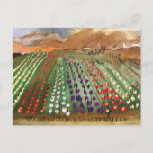 WA Skagit Valley Tulip Fields Spring Dreaming Briefkaart (Voorkant)