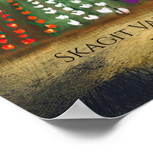 WA Skagit Valley Tulip Fields Spring Dreaming Poster (Hoek)