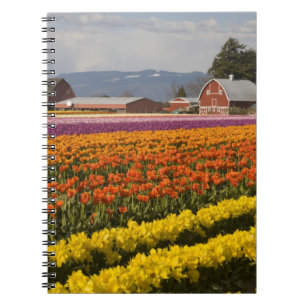 WA, Skagit Valley, Tulpenvelden in bloei, bij Notitieboek