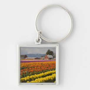 WA, Skagit Valley, Tulpenvelden in bloei, bij Sleutelhanger