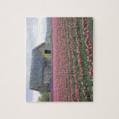 WA, Skagit Valley, Tulpveld en Schuur Legpuzzel (Verticaal)