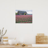 WA, Skagit Valley, Tulpveld en Schuur Poster (Keuken)