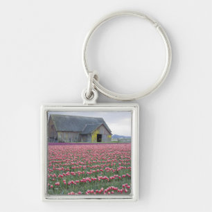 WA, Skagit Valley, Tulpveld en Schuur Sleutelhanger
