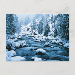 WA, Wenatchee National Forest, Cascade Briefkaart