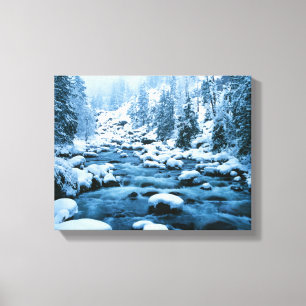 WA, Wenatchee National Forest, Cascade Canvas Afdruk