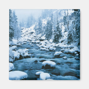 WA, Wenatchee National Forest, Cascade Magneet