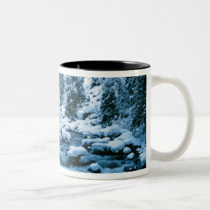 WA, Wenatchee National Forest, Cascade Tweekleurige Koffiemok