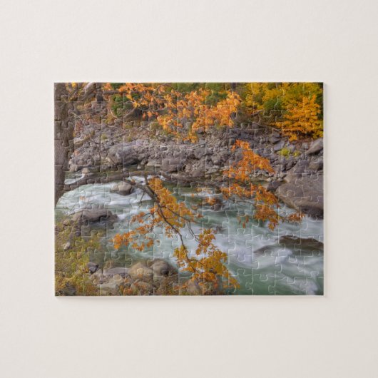 WA, Wenatchee National Forest, Esdoorn en Legpuzzel (Horizontaal)
