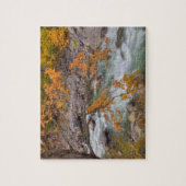 WA, Wenatchee National Forest, Esdoorn en Legpuzzel (Verticaal)
