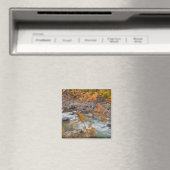 WA, Wenatchee National Forest, Esdoorn en Magneet (Insitu (Vaatwasser))