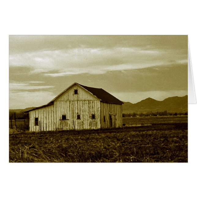 Waaier (Voorkant Horizontaal)