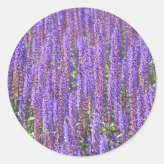 Waaiveld Ronde Sticker