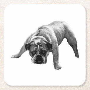 waakzaam bulldog-Onderzetter Kartonnen Onderzetters
