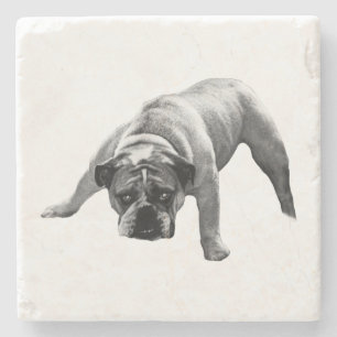 waakzaam bulldog-Onderzetter Stenen Onderzetter