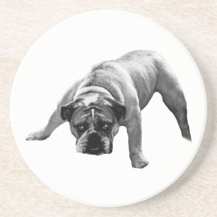 waakzaam bulldog-Onderzetter Zandsteen Onderzetter