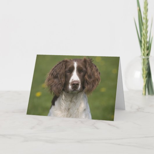 Waakzame aanzetsteen kaart (Voorkant)