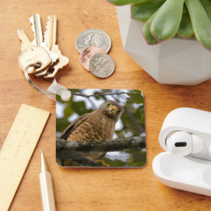 Waakzame Roofvogel, Weghavik Sleutelhanger