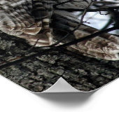 Waakzame Uil Poster (Hoek)