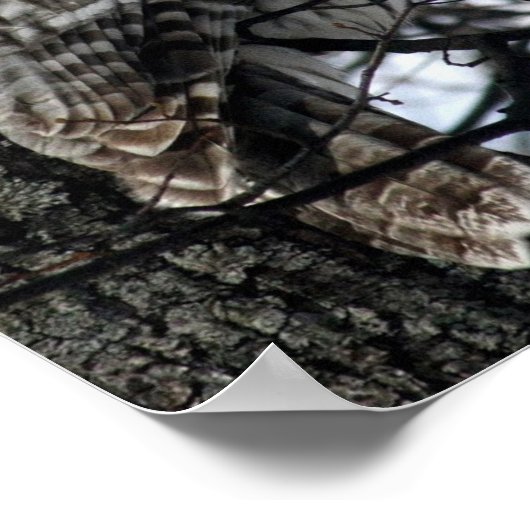 Waakzame Uil Poster (Hoek)