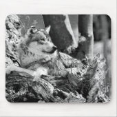 waakzame wolf muismat (Voorkant)