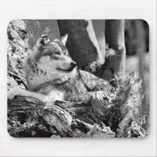 waakzame wolf muismat