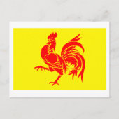 Waals Gewest Flag Briefkaart (Voorkant)