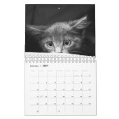 Waanzinnig over de wandkalender van Cats 2023 Kalender (Jan 2027)