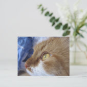 Waar bekijkt u? briefkaart (Staand voorkant)