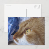 Waar bekijkt u? briefkaart (Voorkant / Achterkant)