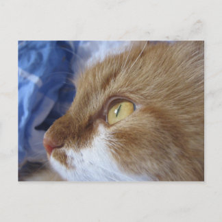 Waar bekijkt u? briefkaart