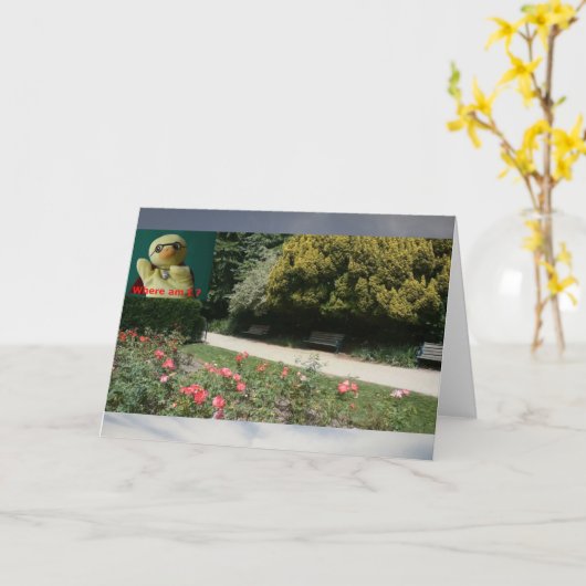 Waar ben ik? #4b Kaart (Gele Bloem)