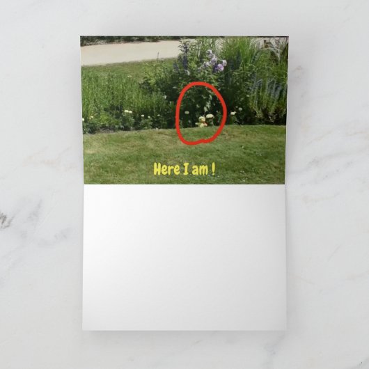 Waar ben ik?  #5a Kaart (Binnen)