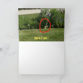 Waar ben ik? #5c Kaart (Binnen)