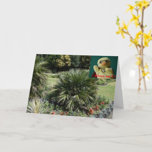 Waar ben ik? #5c Kaart (Gele Bloem)