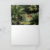 Waar ben ik?  #5d Kaart (Binnen)