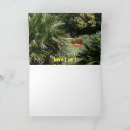 Waar ben ik? #5d Kaart