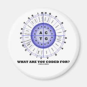 Waar ben je voor gecodeerd? (Aminozuurwiel) Magneet