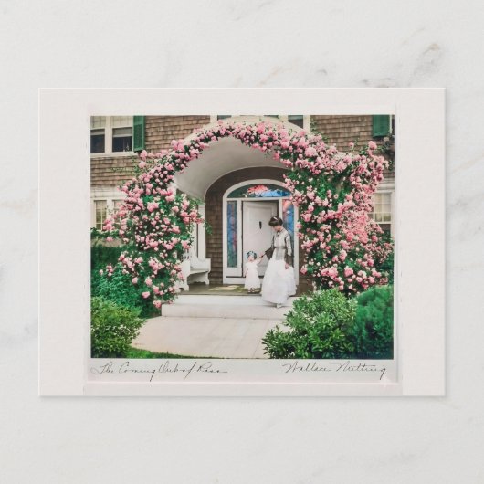 Waar bloemen bloeien, bloeit ook hoop.  briefkaart (Voorkant)